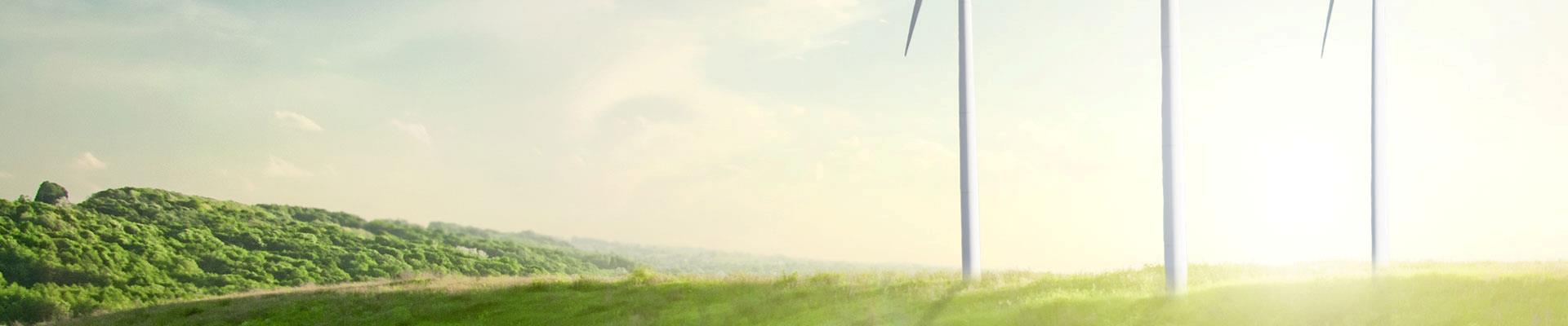 100 % dänische Windenergie