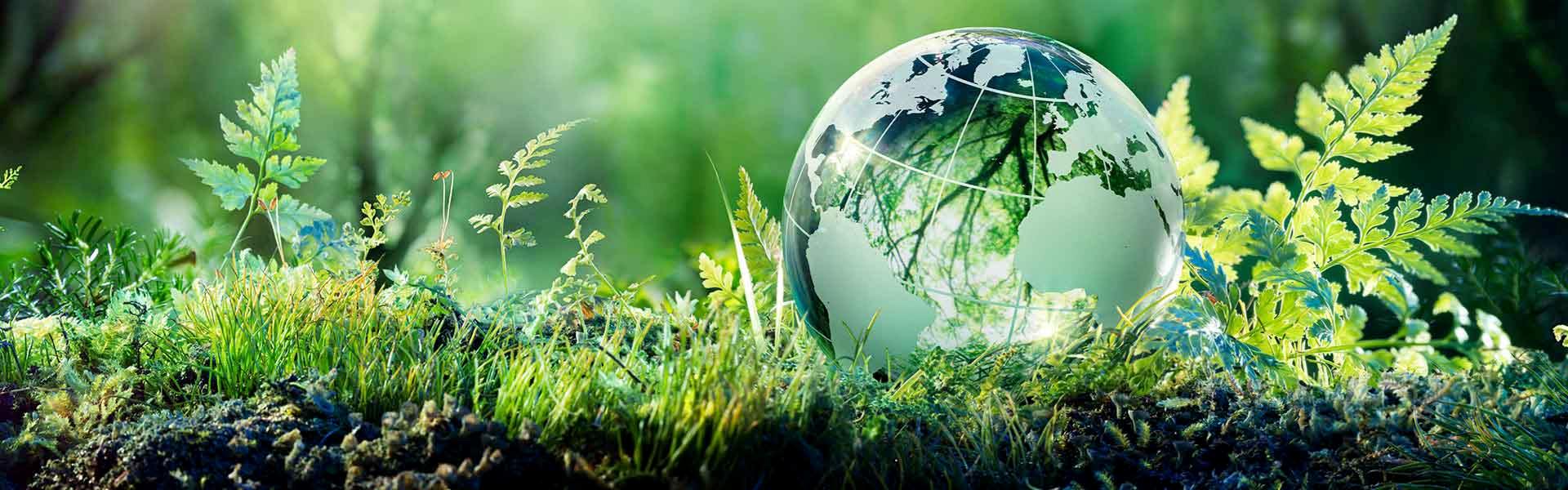 Flachgewebe hält länger