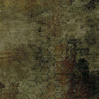 T800102750 T800102750